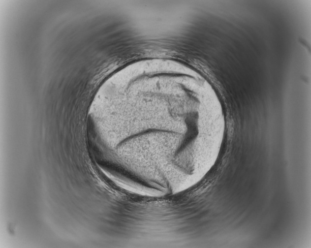 X0000101170433200807251136