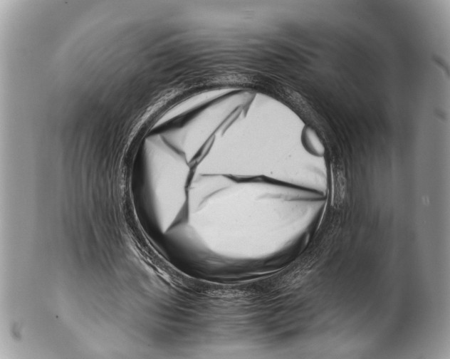 X0000101170435200807251136