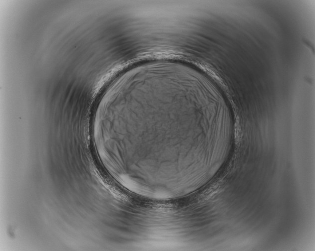 X0000101170438200807251136