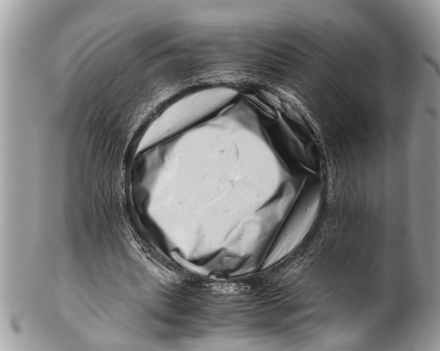 X0000101170439200807251136