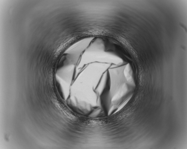X0000101170442200807251136