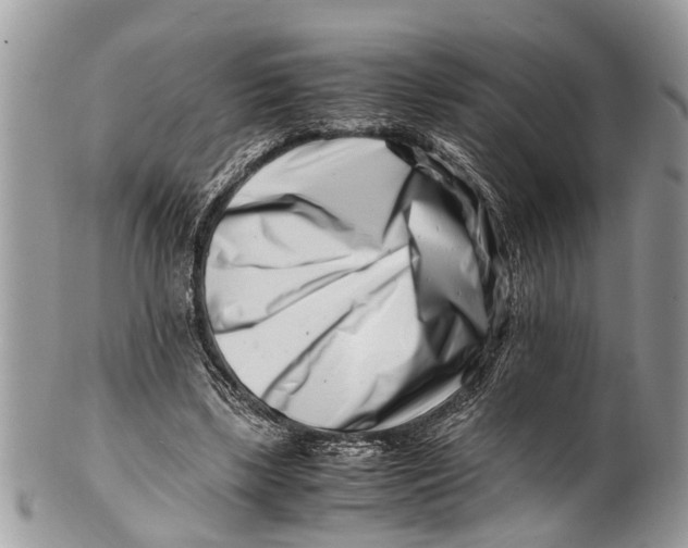 X0000101170443200807251136