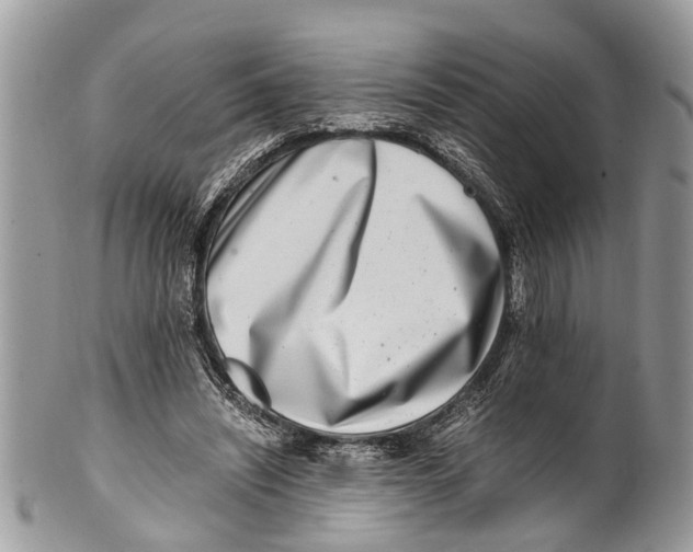 X0000101170444200807251136