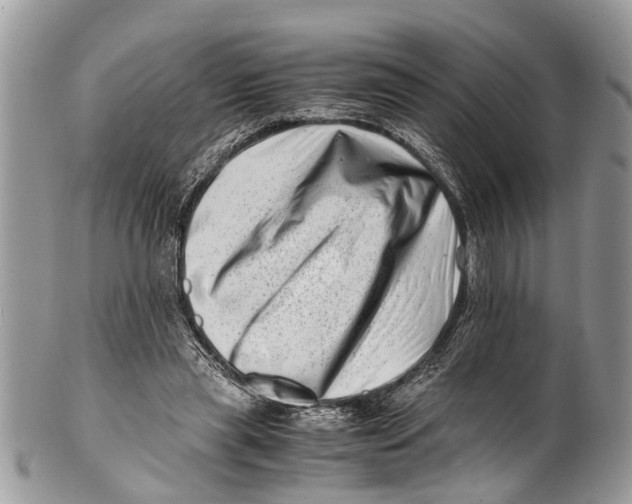 X0000101170445200807251136