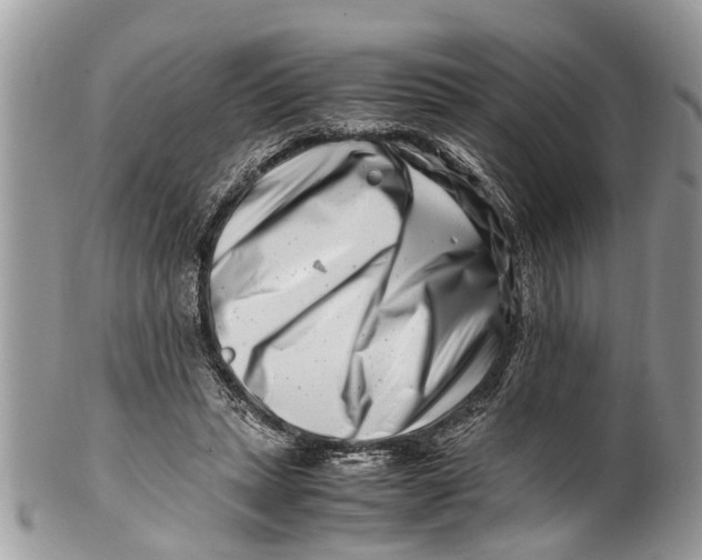 X0000101170447200807251136
