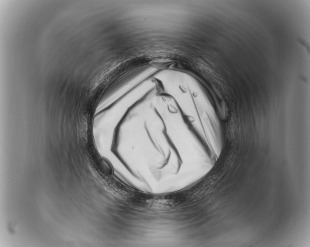 X0000101170448200807251136