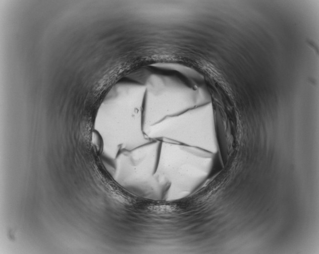 X0000101170449200807251136