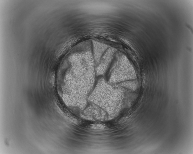 X0000101170451200807251136