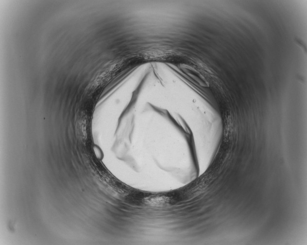 X0000101170452200807251136