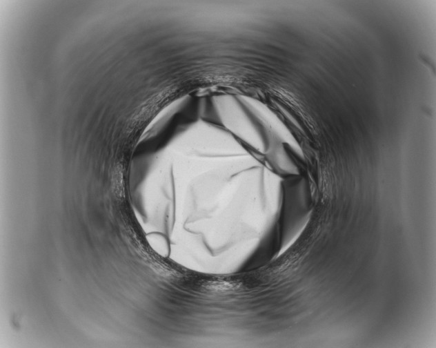X0000101170453200807251136
