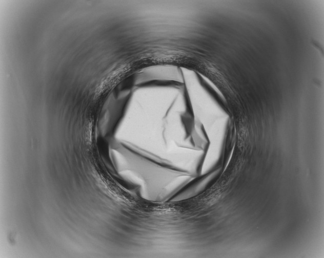 X0000101170454200807251136