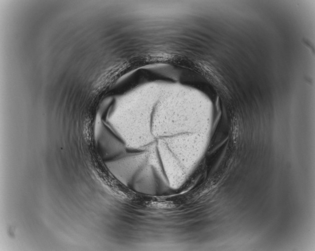 X0000101170455200807251136