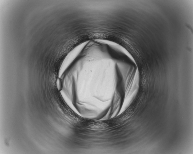 X0000101170459200807251136