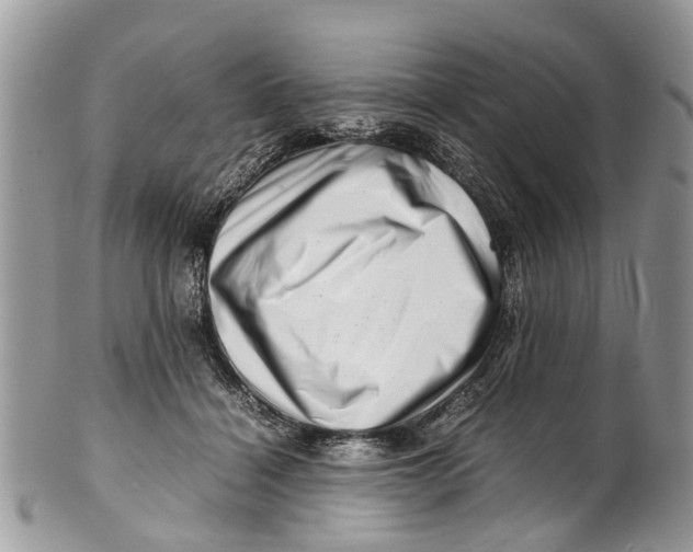 X0000101170460200807251136