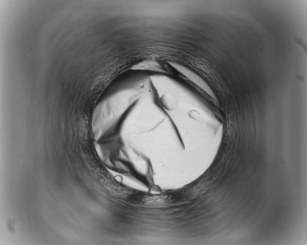 X0000101170461200807251137