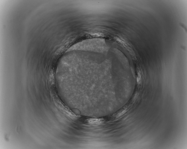 X0000101170465200807251137