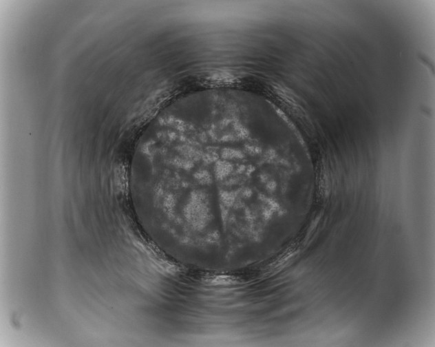 X0000101170467200807251137