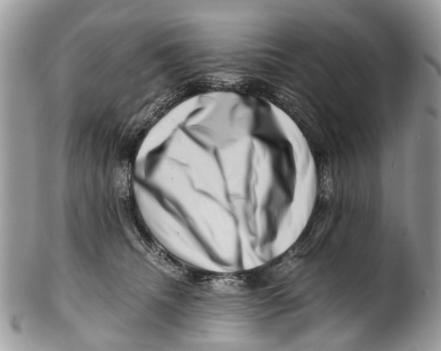 X0000101170468200807251137