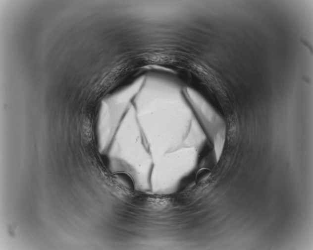 X0000101170469200807251137