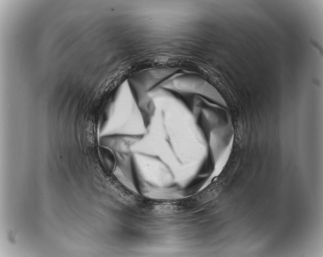 X0000101170470200807251137