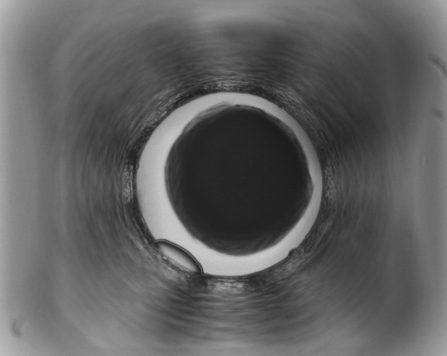 X0000101170471200807251137