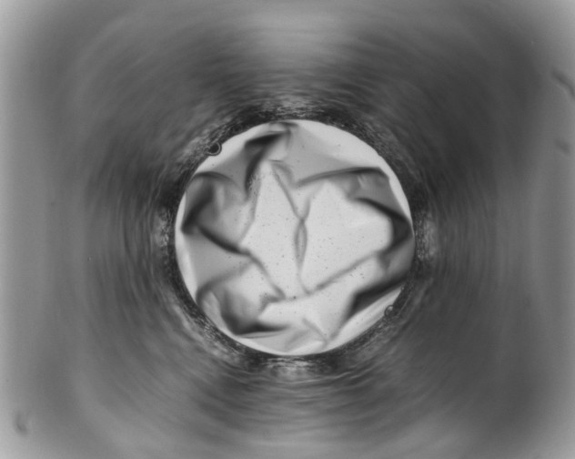 X0000101170472200807251137