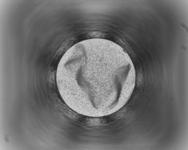 X0000101170473200807251137