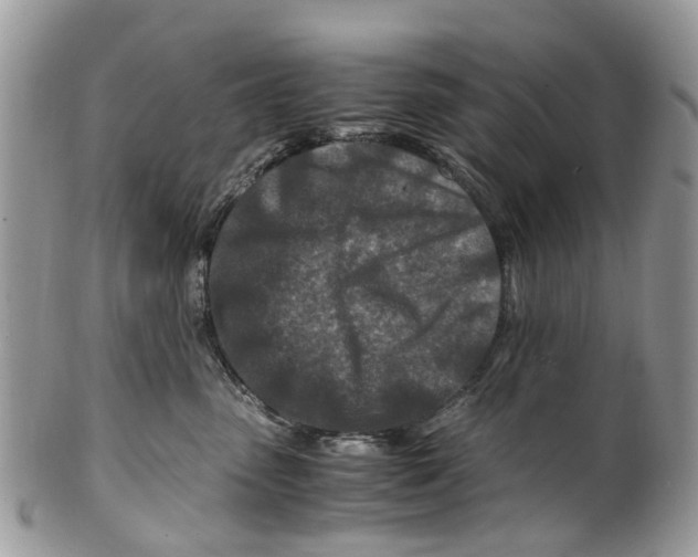 X0000101170475200807251137