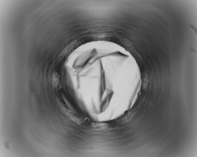 X0000101170476200807251137