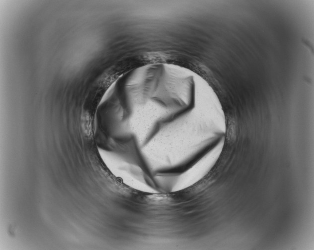 X0000101170477200807251137