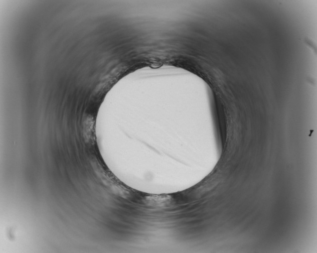 X0000101170480200807251137