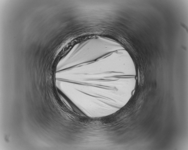 X0000101170483200807251136