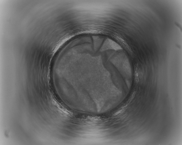 X0000101170484200807251136