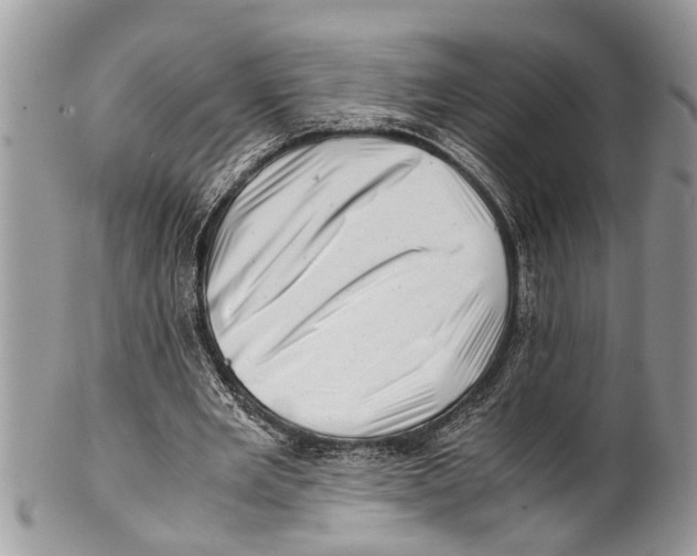X0000101170485200807251136