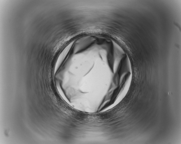 X0000101170487200807251136