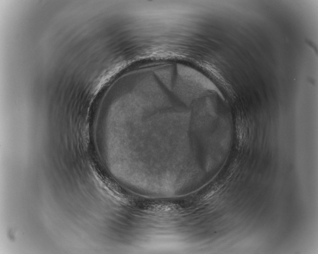 X0000101170488200807251136