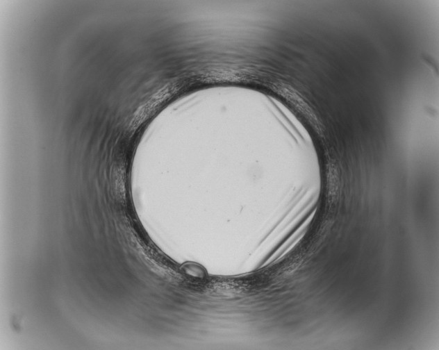 X0000101170489200807251136
