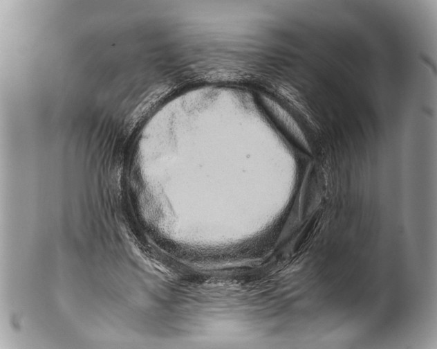 X0000101170491200807251136