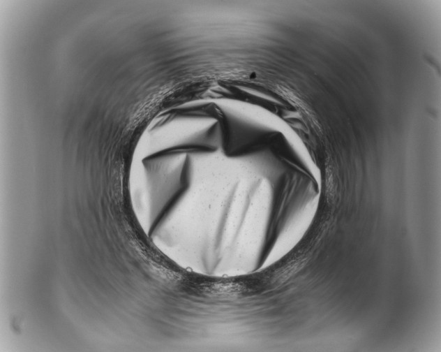 X0000101170493200807251136