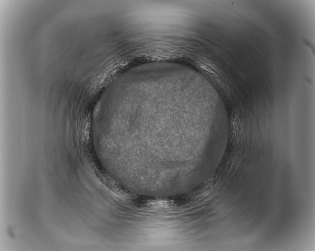 X0000101170499200807251136