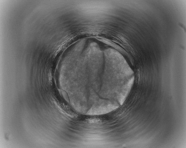 X0000101170500200807251136