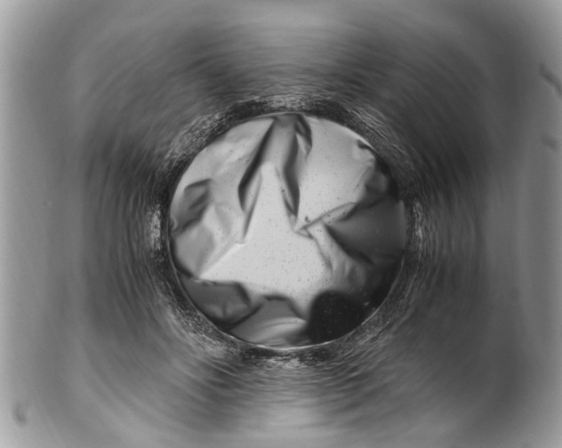 X0000101170502200807251136