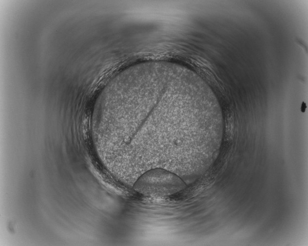X0000101170503200807251136