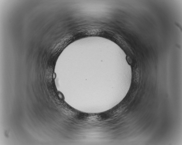 X0000101170505200807251136