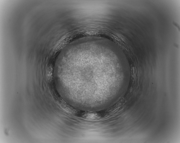 X0000101170507200807251136