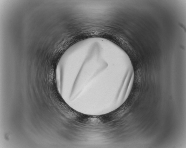X0000101170509200807251136