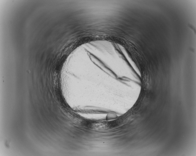 X0000101170511200807251136