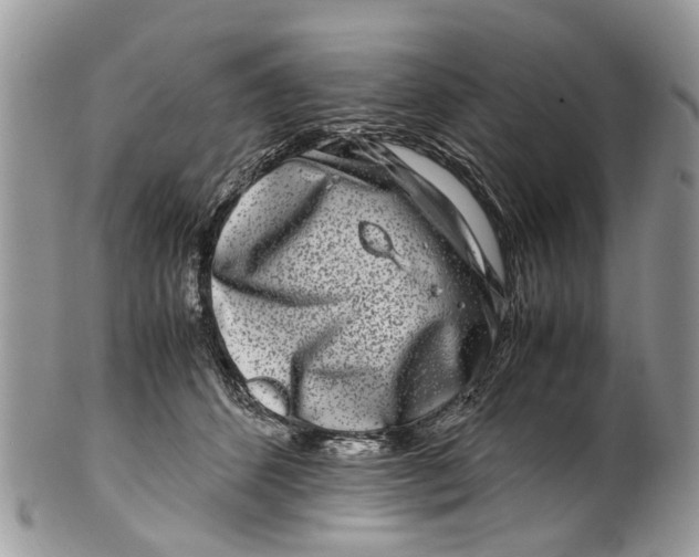 X0000101170512200807251135