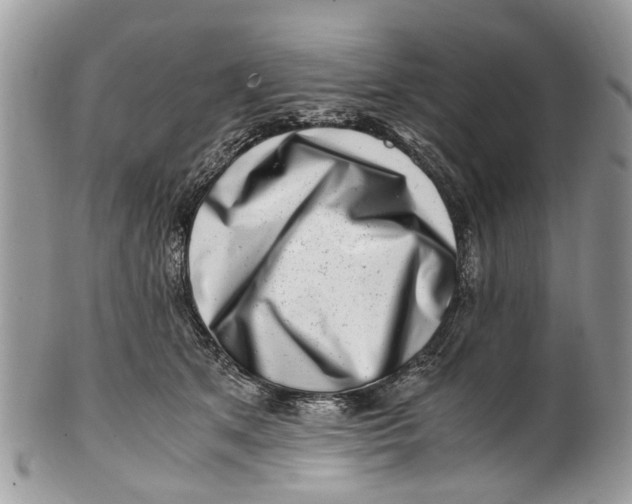 X0000101170513200807251135