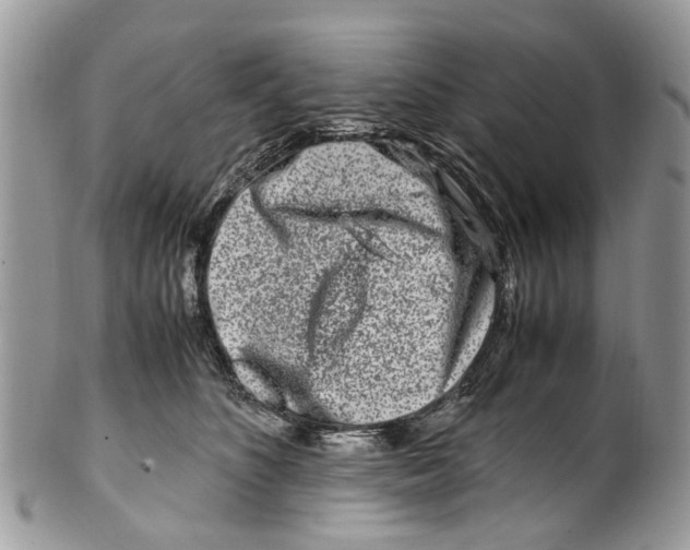 X0000101170516200807251135